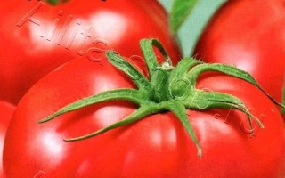 Всегда Много