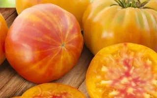 Загадка Природы