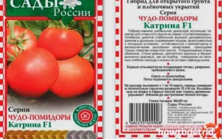 ЗОРЯ ПІДМОСКОВ'Я