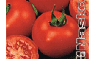 ЖАВОРОНОК F1