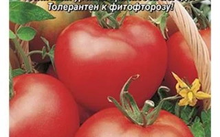 Жаворонок F1