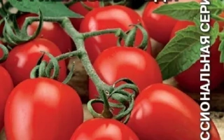 Залізна Леді