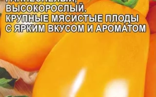 Желтая Ракета