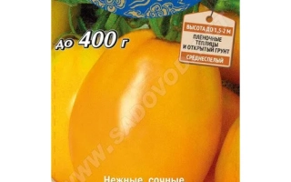 Золото Сходу