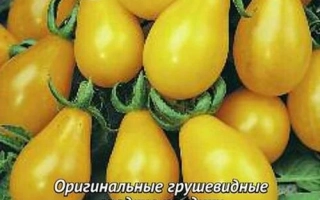 Золотой Дождь