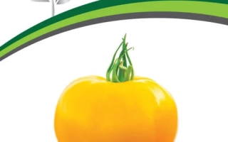 Золотой Орфей