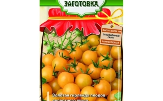 Золотые Бусы