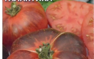 Звездная Галактика