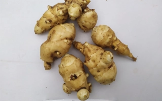 Клубни топинамбура на белом фоне с этикеткой 'Меняю' - Интерес