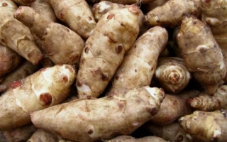 Топинамбур (земляная груша) на фоне - Пасько