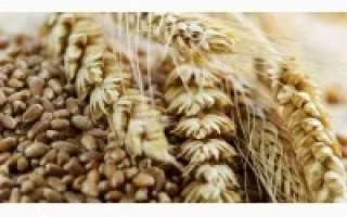 Лосинивское