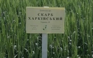 Скарб харьковский