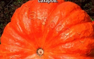 Богатырская Сила