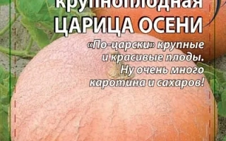 Пакет семян тыквы Царица Осени