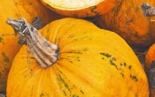 Данка Полька