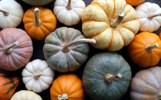 Гл Рустикал