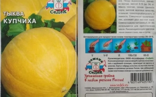 Купчиха