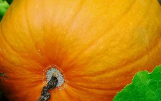 Марсельеза