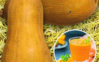 MOSCOW AROMATIC SQUASH