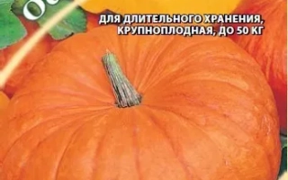 Осенний Пирог