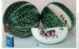 Памяти Тараканова