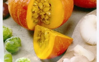 Seed packet for pumpkin GOLD NUGGET - RECER GOLD