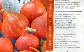 Семена тыквы САНЬКИНА ЛЮБОВ на упаковке с фотографиями плодов - САНЬКИНА ЛЮБОВЬ