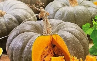 Сирий Чемпион