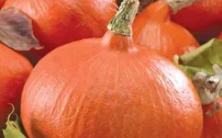 Корзина с оранжевыми тыквами - СЛАДКИЕ КАРАВАИ