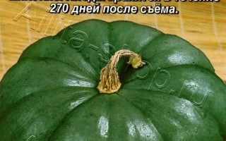 Сластена