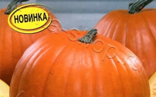 Пакет семян тыквы ЗОЛОТАЯ БОЧКА с изображением оранжевых плодов