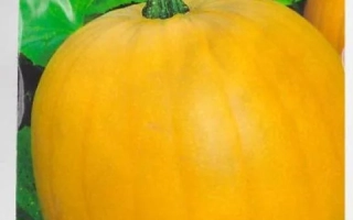 Золотой Купол