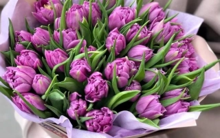 Букет тюльпанов Дарданелес в розовой упаковке