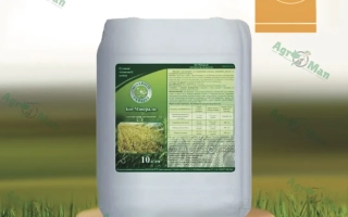 21PG (Microblend, EnerGEMMA, Boron)