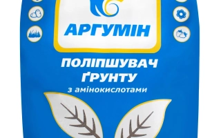 Агнишн