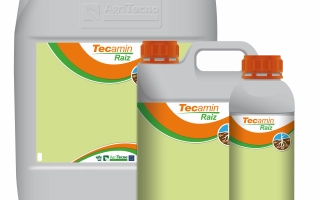 Агрифул Антисал