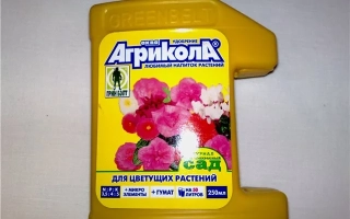Агрикола, гр.
