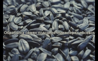 АГРОГУМАТ+7 (марки БАЗОВИЙ, БОР, ЦИНК+БОР, ДЕСТРУКТОР)