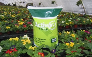 Активин (Тренер)