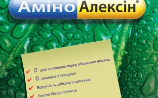 АминоАлексин