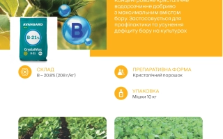 Аvangard CrystalMax