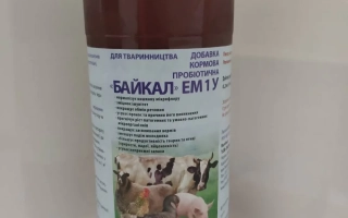 Байкал ЕМ-1 У