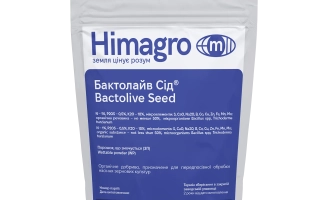 Бактолайв Сид