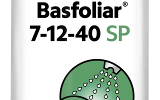 Басфолиар Борон СП