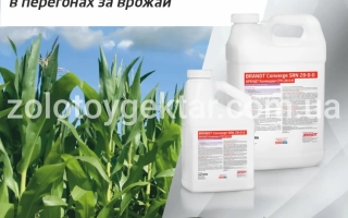 BRANDT Converge SRN 28-0-0