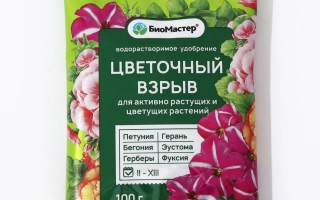 Брендт Биомайстер