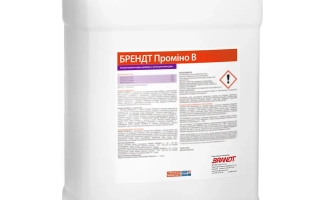 Брендт Промино В