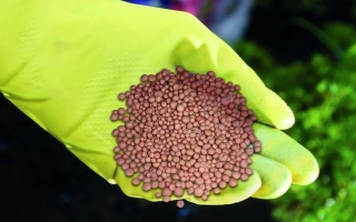 Рука в желтой перчатке держит гранулы удобрения NPK (нитроамофоска) на фоне зелени. - Удобрение азотно-фосфорно-калийне (нитроамофоска)