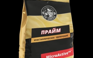 Доктор Грин-Прайм