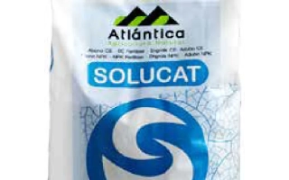 ЕКС КАЛИБЕР 40